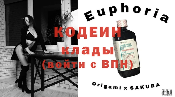PSILOCYBIN Корсаков