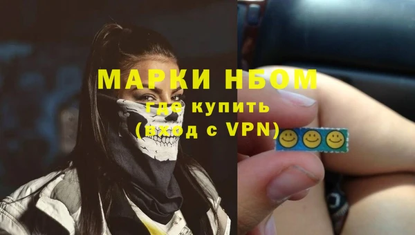 PSILOCYBIN Корсаков