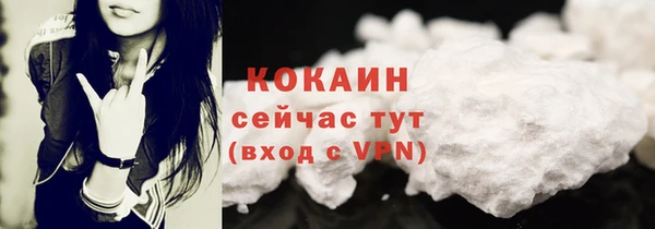 PSILOCYBIN Корсаков