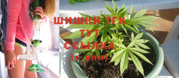 PSILOCYBIN Корсаков