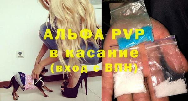 PSILOCYBIN Корсаков