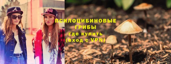 прущие крисы Костерёво