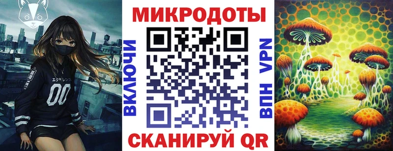 Купить где  Емва  Псилоцибиновые грибы GOLDEN TEACHER 